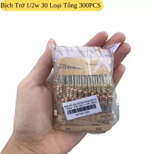 Bịch Điện Trở 1/2w 1R Đến 3M 30 Loại (Mỗi Loại 10PCS) Sai Số 5%